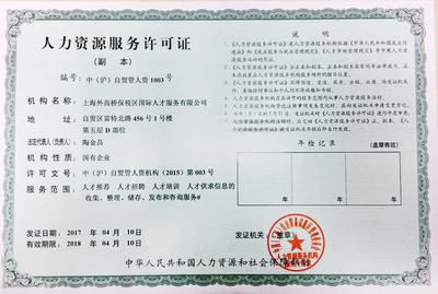上海信息咨詢服務 專業導航，智啟未來