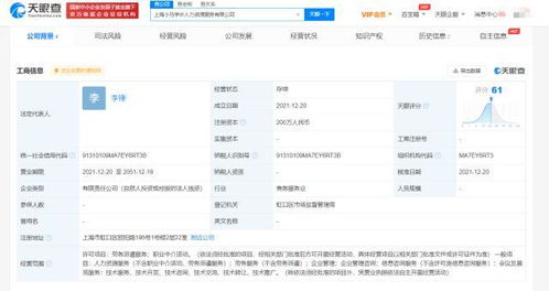 上海信息咨詢服務 數(shù)字化浪潮下的智慧樞紐